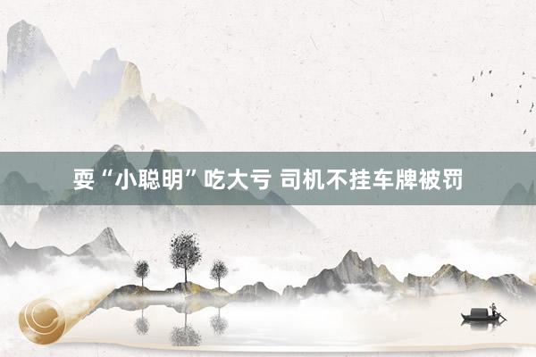 耍“小聪明”吃大亏 司机不挂车牌被罚
