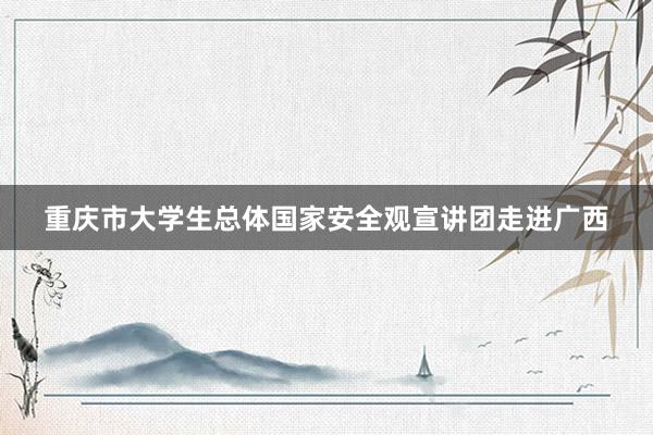重庆市大学生总体国家安全观宣讲团走进广西