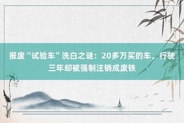 报废“试验车”洗白之谜：20多万买的车，行驶三年却被强制注销成废铁