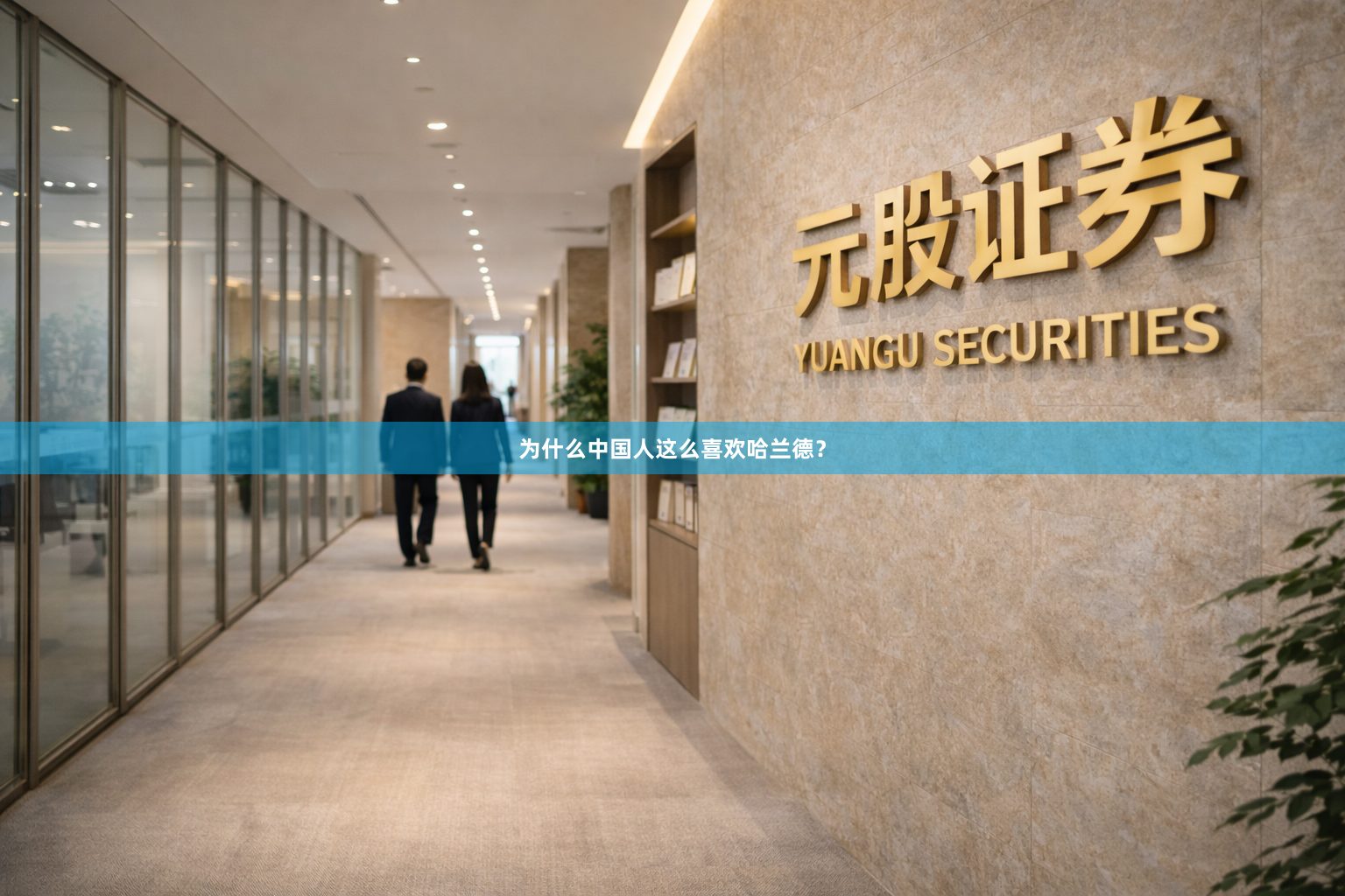 为什么中国人这么喜欢哈兰德？